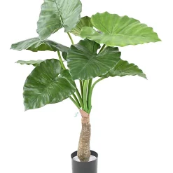 Castorama Alocasia Calidora Artificielle H.80 Cm