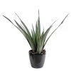 Castorama Aloé Ferox Artificiel -Castorama-Shop aloe ferox artificiel3700543520313 01c FR CF