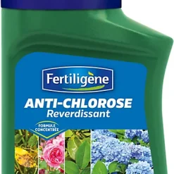 Castorama Anti Chlorose Liquide Fertiligène 250ml
