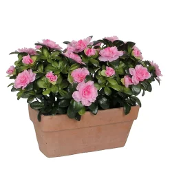 Castorama Azalea Rose Artificiel 29 X 13 X H.27 Cm En Jardinière