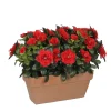 Castorama Azalea Rouge Artificiel 29 X 13 X H.27 Cm En Jardinière -Castorama-Shop azalea rouge artificiel 29 x 13 x h 27 cm en jardiniere8712799859258 01c FR CF
