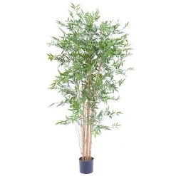 Castorama Bambou Japanese Artificiel H.180 Cm
