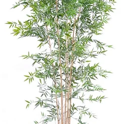 Castorama Bambou Japanese Artificiel H.210 Cm
