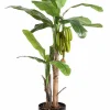 Castorama Bananier Avec Fruit Artificiel H.180 Cm -Castorama-Shop bananier avec fruit artificiel h 180 cm3700543508243 01c FR CF