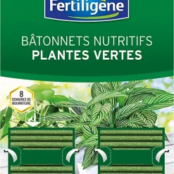 Castorama Bâtonnets Pour Plantes Vertes Fertiligène (x 40)