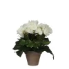 Castorama Begonia Blanc Artificiel ø20 X H.25 Cm En Pot Stan Gris ø9 Cm -Castorama-Shop begonia blanc artificiel 20 x h 25 cm en pot stan gris 9 cm8712293770080 01c FR CF