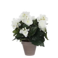 Castorama Begonia Blanc Artificiel ø25 X H.30 Cm En Pot Stan Gris ø11,5 Cm