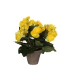 Castorama Begonia Jaune Artficiel ø20 X H.25 Cm En Pot Stan Gris ø9 Cm -Castorama-Shop begonia jaune artficiel 20 x h 25 cm en pot stan gris 9 cm8712293770073 01c FR CF