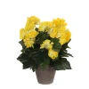 Castorama Begonia Jaune Artificiel ø25 X H.30 Cm En Pot Stan Gris ø11,5 Cm 1 Castorama Begonia Jaune Artificiel ø25 X H.30 Cm En Pot Stan Gris ø11,5 Cm -Castorama-Shop begonia jaune artificiel 25 x h 30 cm en pot stan gris 11 5 cm8712293775078 01c FR CF