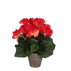 Castorama Begonia Rose Foncé Artficiel ø20 X H.25 Cm En Pot Stan Gris ø9 Cm