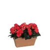 Castorama Begonia Rose Foncé Artificiel En Jardinière Slate Terra 29 X 13 X H.25 Cm -Castorama-Shop begonia rose fonce artificiel en jardiniere slate terra 29 x 13 x h 25 cm8712799726932 01c FR CF