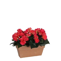 Castorama Begonia Rose Foncé Artificiel En Jardinière Slate Terra 29 X 13 X H.25 Cm