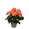 Castorama Begonia Saumon Artficiel ø20 X H.25 Cm En Pot Stan Gris ø9 Cm -Castorama-Shop begonia saumon artficiel 20 x h 25 cm en pot stan gris 9 cm8712293770097 01c FR CF