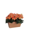 Castorama Begonia Saumon Artificiel En Jardinière Slate Terra 29 X 13 X H.25 Cm 1 Castorama Begonia Saumon Artificiel En Jardinière Slate Terra 29 X 13 X H.25 Cm -Castorama-Shop begonia saumon artificiel en jardiniere slate terra 29 x 13 x h 25 cm8712799726956 01c FR CF