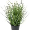 Castorama Berry Onion Grass Artificiel H.35 Cm
