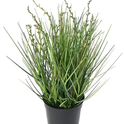 Castorama Berry Onion Grass Artificiel H.35 Cm