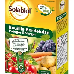 Castorama Bouillie Bordelaise Solabiol 800g