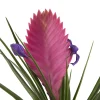 Castorama Bromélia, Assortiment, Pot 9cm -Castorama-Shop bromelia assortiment pot 9cm3663602463429 36c