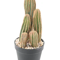 Castorama Cactus Finger X Artificiel H.95 Cm