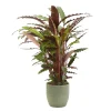 Castorama Calathea Waves 21cm Avec Cache Pot Rayures Vertes -Castorama-Shop calathea waves 21cm avec cache pot rayures vertes8720053841710 01c FR CF