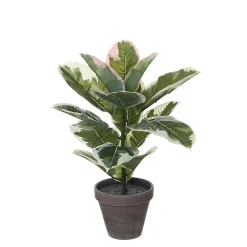 Castorama Caoutchouc Vert Panache Artificiel ø34 X H.47 Cm En Pot Stan Gris ø13,5cm