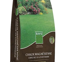 Castorama Chaux Magnésienne 9kg