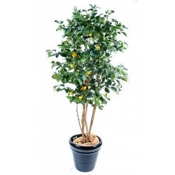 Castorama Citrus Artificiel H.140 Cm