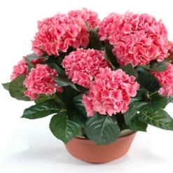 Castorama Coupe Hortensia Artificiel 3 Piquets
