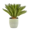 Castorama Cycas Revoluta 21cm Avec Cache Pot Rayures Vertes -Castorama-Shop cycas revoluta 21cm avec cache pot rayures vertes8720053842069 01c FR CF