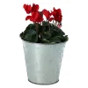 Castorama Cyclamen Avec Pot En Zinc 13 Cm 1 Castorama Cyclamen Avec Pot En Zinc 13 Cm -Castorama-Shop cyclamen avec pot en zinc 13 cm5059340138657 21c