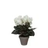 Castorama Cyclamen Blanc Artificiel ø30 X H.30 Cm En Pot Stan Gris ø11,5 Cm -Castorama-Shop cyclamen blanc artificiel 30 x h 30 cm en pot stan gris 11 5 cm8712293472229 01c FR CF