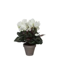 Castorama Cyclamen Blanc Artificiel ø30 X H.30 Cm En Pot Stan Gris ø11,5 Cm