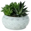 Castorama Ensemble De Succulentes, Pot 14cm -Castorama-Shop ensemble de succulentes pot 14cm3663602463368 02c