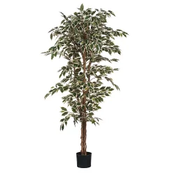 Castorama Ficus Vert Panache Artificiel En Pot Plastique ø90 X H.180 Cm