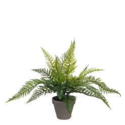 Castorama Fougère Vert Artificiel ø36 X H.40 Cm En Pot Stan Gris ø11,5 Cm