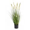 Castorama Foxtail Artificiel H.90 Cm 2 Castorama Foxtail Artificiel H.90 Cm -Castorama-Shop foxtail artificiel h 90 cm3700543508007 01c FR CF