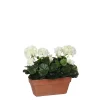 Castorama Geranium Blanc Articiciel En Jardinière Terra 29 X 13 X H.40 Cm 1 Castorama Geranium Blanc Articiciel En Jardinière Terra 29 X 13 X H.40 Cm -Castorama-Shop geranium blanc articiciel en jardiniere terra 29 x 13 x h 40 cm8718861426656 01c FR CF