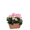 Castorama Geranium Rose Articiciel En Jardinière Terra 29 X 13 X H.40 Cm -Castorama-Shop geranium rose articiciel en jardiniere terra 29 x 13 x h 40 cm8718861426632 01c FR CF