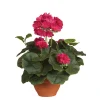 Castorama Geranium Rose Foncé Artificiel ø25 X H.35 Cm En Pot Campana Terra ø15,5 Cm -Castorama-Shop geranium rose fonce artificiel 25 x h 35 cm en pot campana terra 15 5 cm8712293752062 01c FR CF