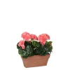 Castorama Geranium Saumon Articiciel En Jardinière Terra 29 X 13 X H.40 Cm -Castorama-Shop geranium saumon articiciel en jardiniere terra 29 x 13 x h 40 cm8718861426649 01c FR CF