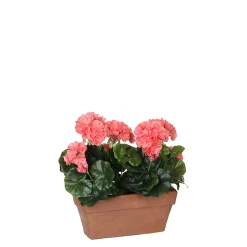 Castorama Geranium Saumon Articiciel En Jardinière Terra 29 X 13 X H.40 Cm