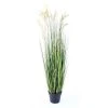 Castorama Graminée Papyrus Scirpus Artificiel H.125 Cm -Castorama-Shop graminee papyrus scirpus artificiel h 125 cm3700543508236 01c FR CF