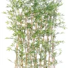 Castorama Haie Bambou Japanese Artificiel H.160 Cm -Castorama-Shop haie bambou japanese artificiel h 160 cm3700543510222 01c FR CF
