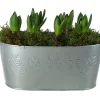 Castorama Jacinthe 5 Bulbes En Jardinière 25 Cm -Castorama-Shop jacinthe 5 bulbes en jardiniere 25 cm3663602463627 01c