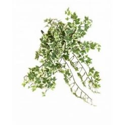 Castorama Lierre Artificiel 308 H.35 Cm