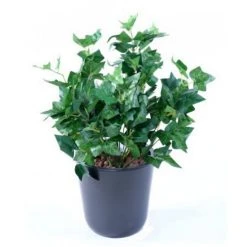 Castorama Lierre Artificiel 8