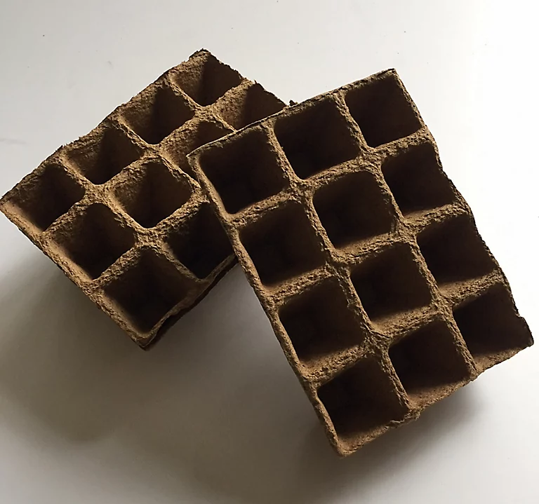 Castorama Lot De 5 Barquettes De 12 Cellules Carrées (2 X 6 Cellules De 4x4cm) 3 Castorama Lot De 5 Barquettes De 12 Cellules Carrées (2 X 6 Cellules De 4x4cm)