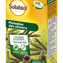 Castorama Maladie Olivier Solabiol 100g