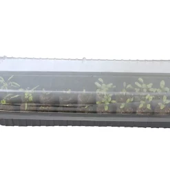 Castorama Mini Serre Allongée Jany H. 13,5 Cm X L. 57,5 Cm