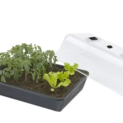 Castorama Mini Serre Semi-rigide Jany L. 38 Cm X L. 24 Cm Transparent